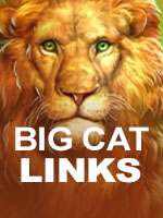 big cat links game slot